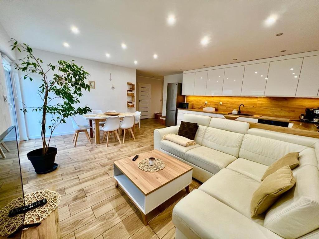 Apartament Przy Kopalni Srebra タルノフスキェ・グルィ エクステリア 写真