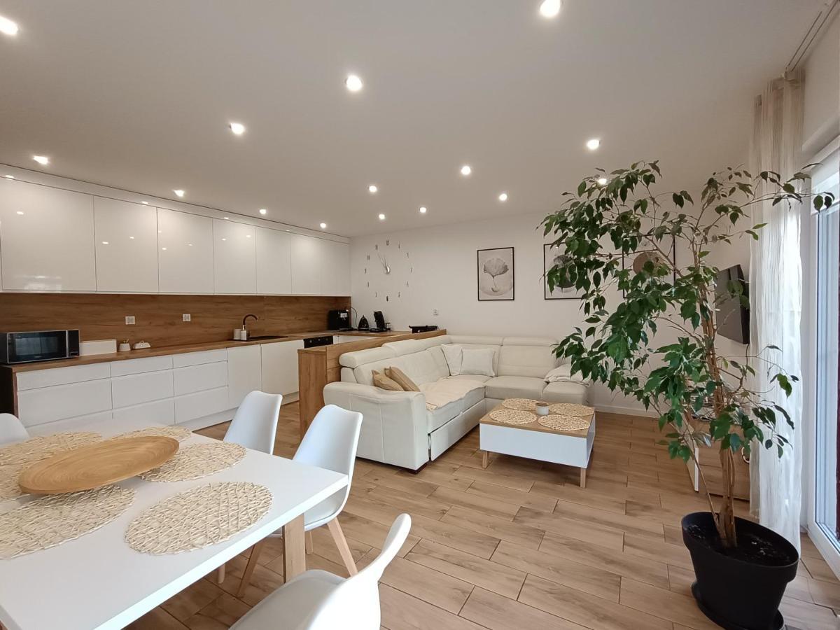 Apartament Przy Kopalni Srebra タルノフスキェ・グルィ エクステリア 写真