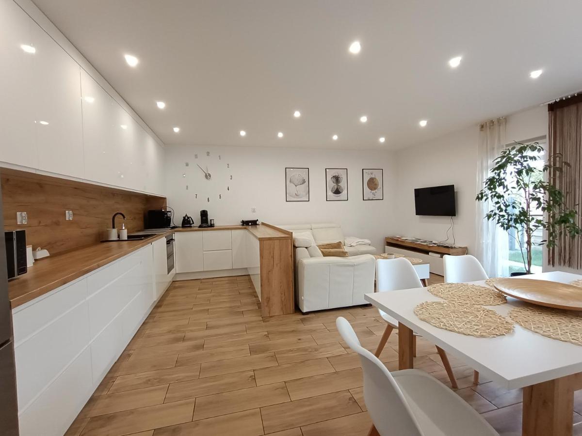 Apartament Przy Kopalni Srebra タルノフスキェ・グルィ エクステリア 写真