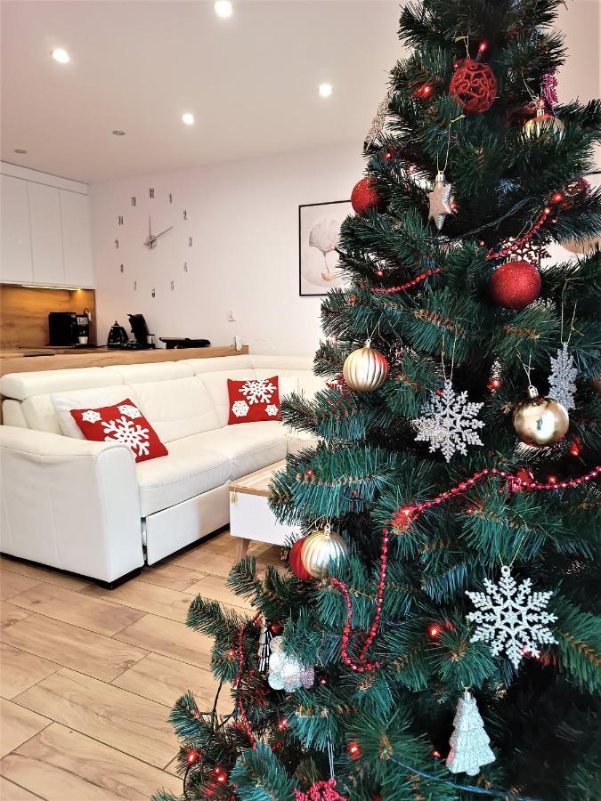 Apartament Przy Kopalni Srebra タルノフスキェ・グルィ エクステリア 写真