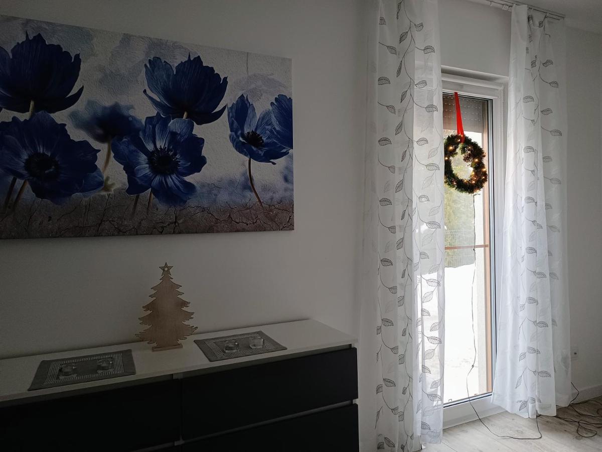 Apartament Przy Kopalni Srebra タルノフスキェ・グルィ エクステリア 写真