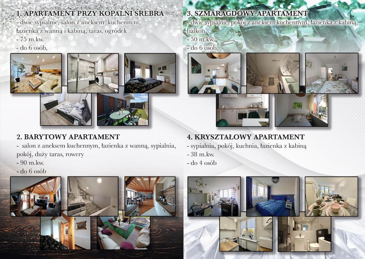 Apartament Przy Kopalni Srebra タルノフスキェ・グルィ エクステリア 写真