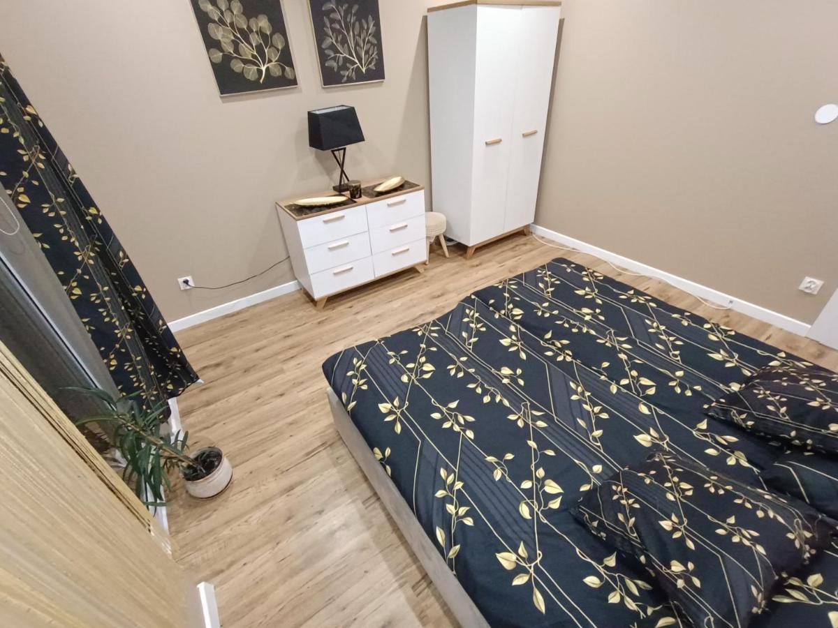 Apartament Przy Kopalni Srebra タルノフスキェ・グルィ エクステリア 写真