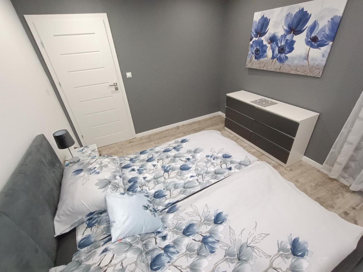Apartament Przy Kopalni Srebra タルノフスキェ・グルィ エクステリア 写真