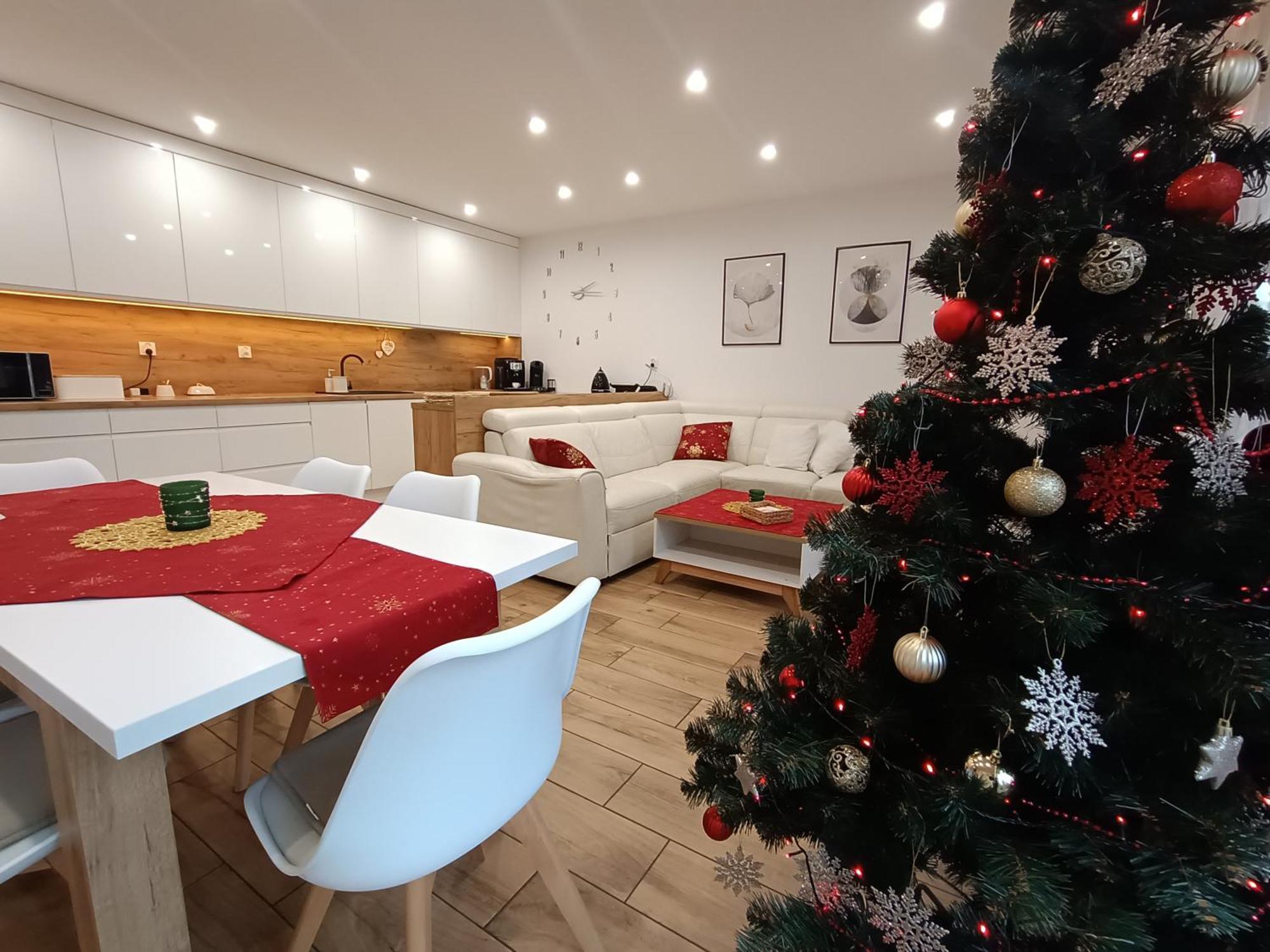 Apartament Przy Kopalni Srebra タルノフスキェ・グルィ エクステリア 写真