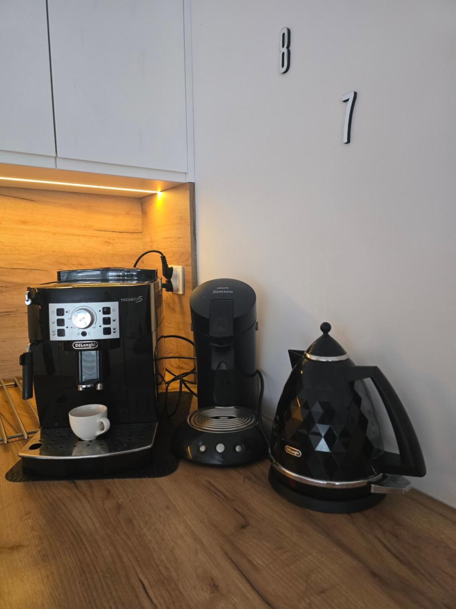 Apartament Przy Kopalni Srebra タルノフスキェ・グルィ エクステリア 写真